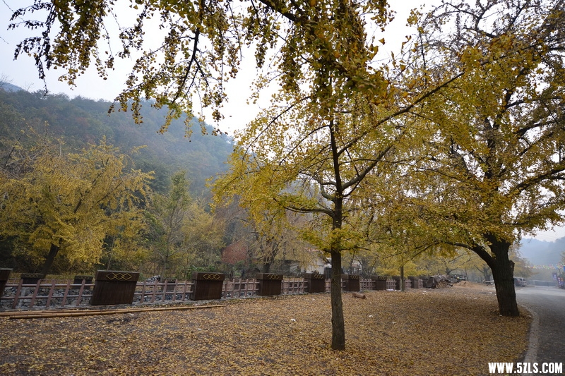 OCO_6902_调整大小.jpg