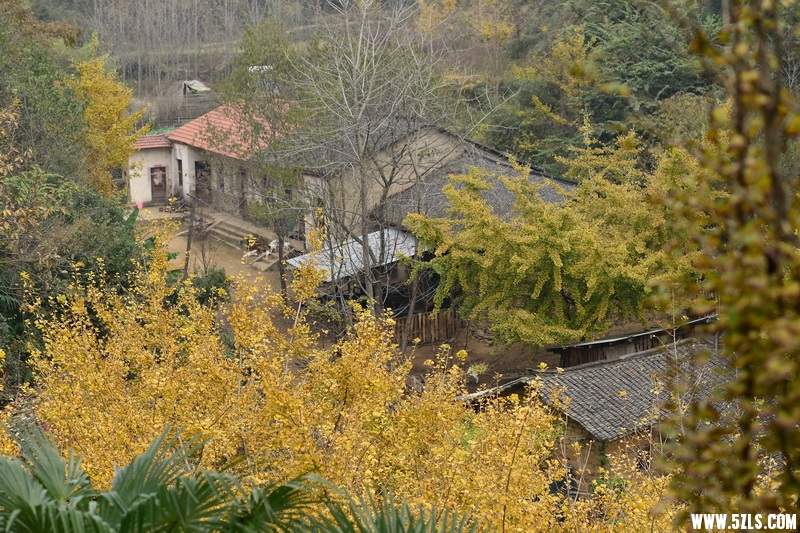 OCO_7066_调整大小.jpg