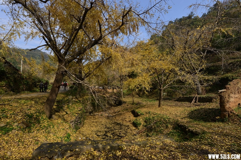 OCO_7355_调整大小.jpg