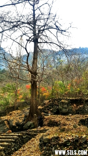 100233jo4ogookagoa3ogr.jpg