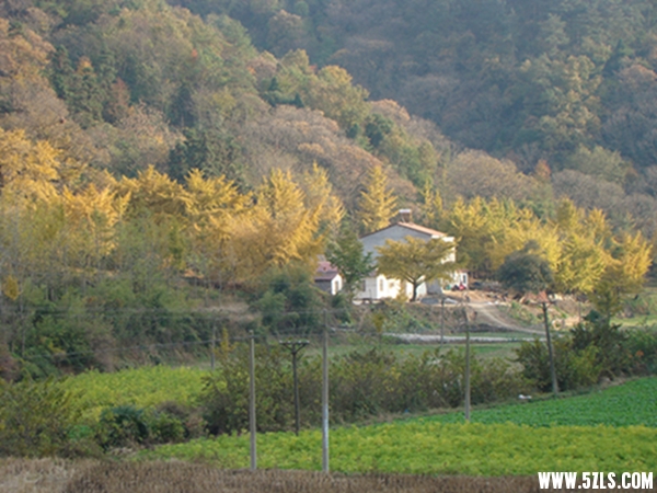 DSC09622001.jpg