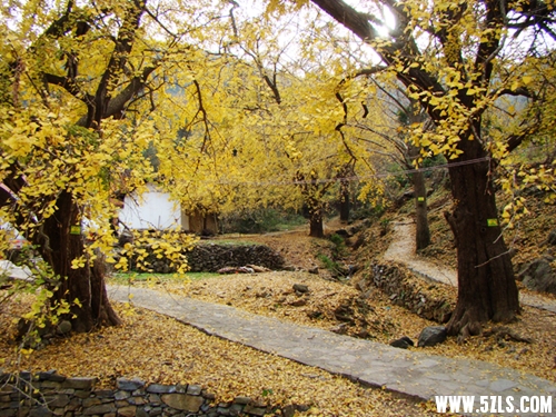 DSC09700__.jpg