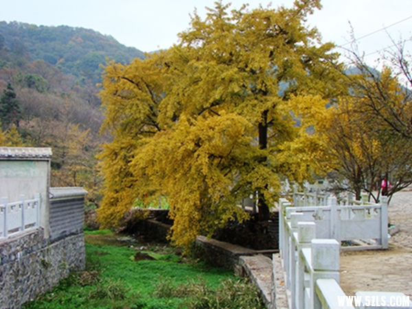 DSC09641010-1_.jpg