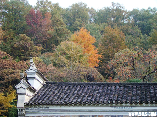 DSC09659023-1_.jpg