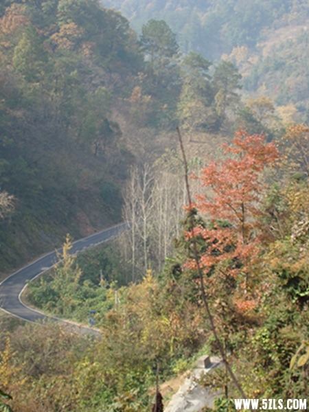 DSC09739071.jpg