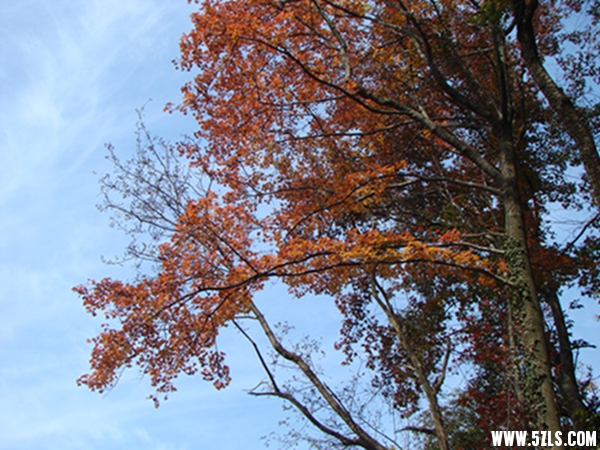 DSC09741072.jpg