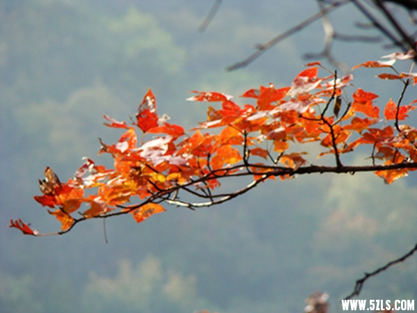 DSC09749076-1_.jpg