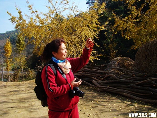 DSC09764084-1_.jpg