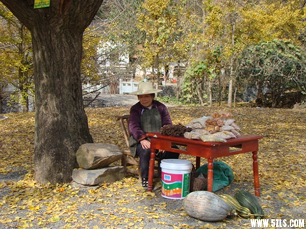 DSC09795094.jpg