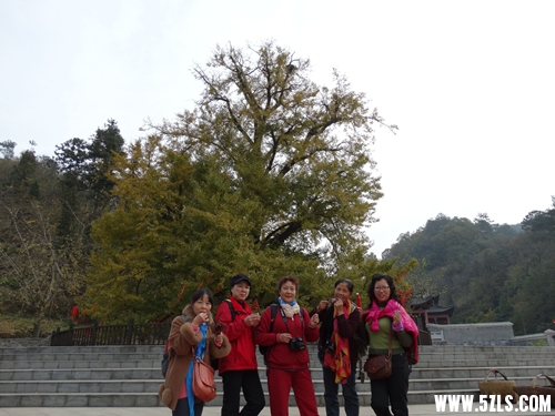 DSC04133_ͼһ_.jpg