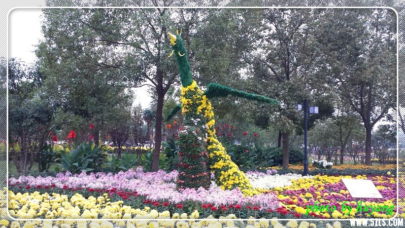 20141108_163545.jpg