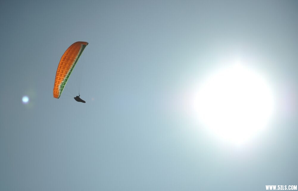56135fceb730ea67.jpg