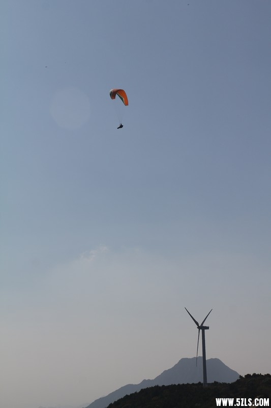 IMG_4636.jpg