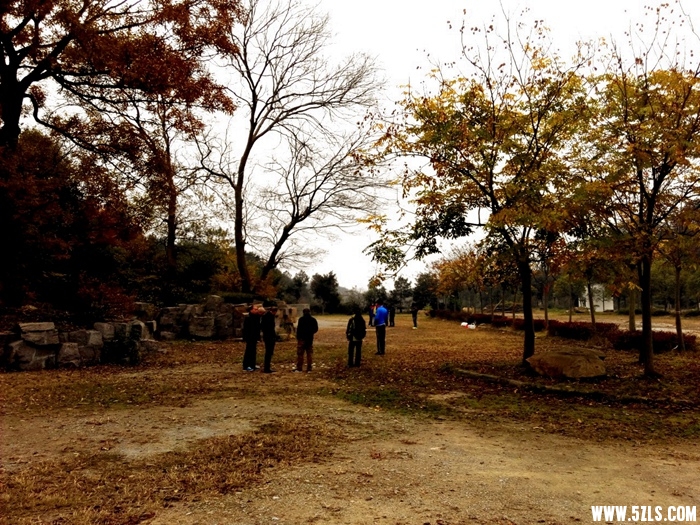 IMG_20141115_093719-1.jpg