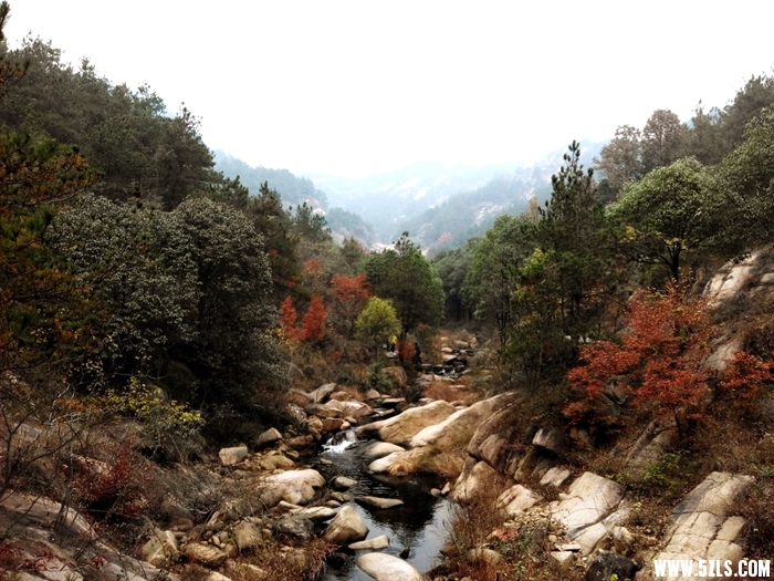 IMG_20141115_105200-1.jpg
