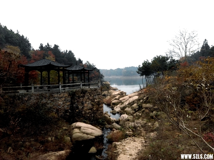 IMG_20141115_105212-1.jpg