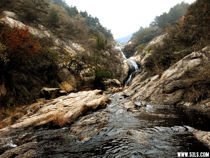 IMG_20141115_105908-1.jpg