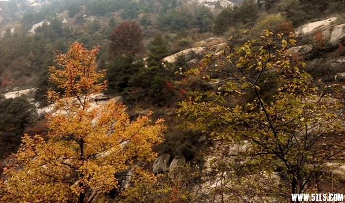 IMG_20141115_110230-1.jpg