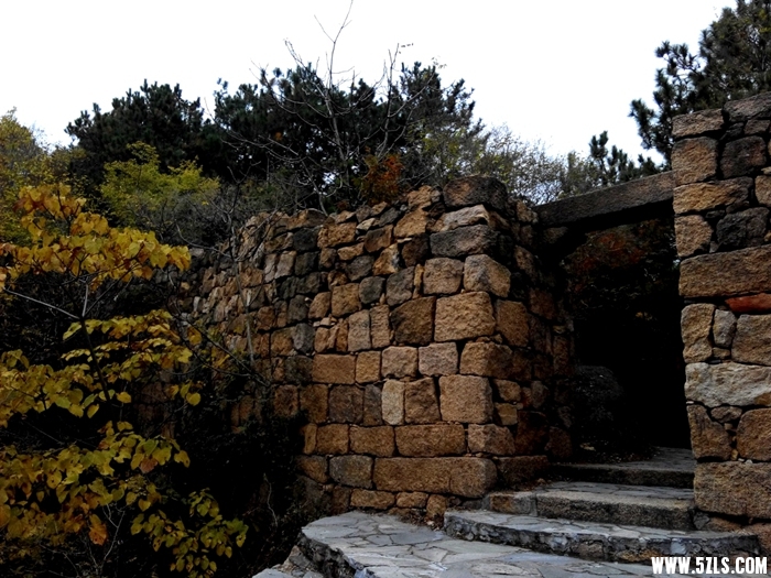 IMG_20141115_114921-1.jpg