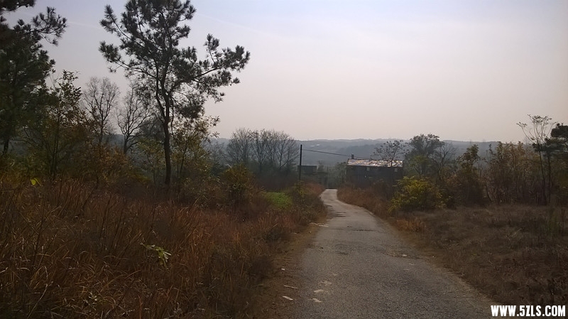 乡间小路.jpg