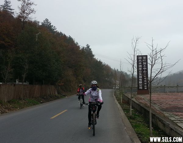 20141126_075004_.jpg