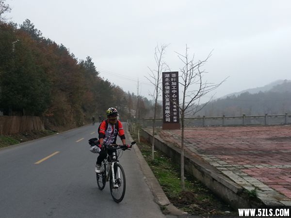 20141126_075007_.jpg