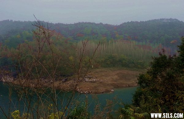 20141126_081255_.jpg