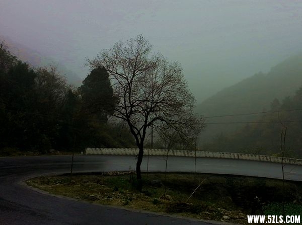 20141126_091854_.jpg