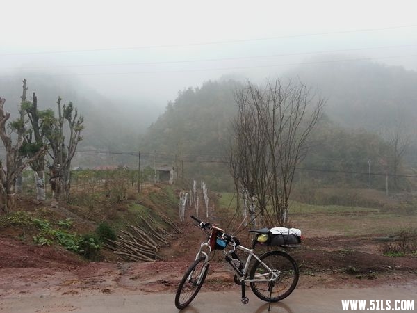 20141126_153013_.jpg