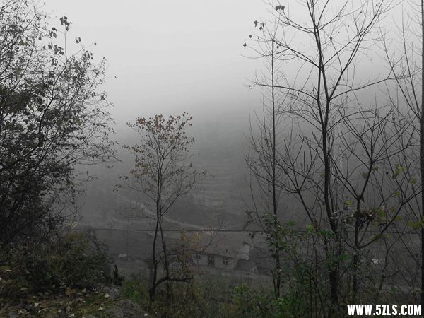 20141126_160822_.jpg