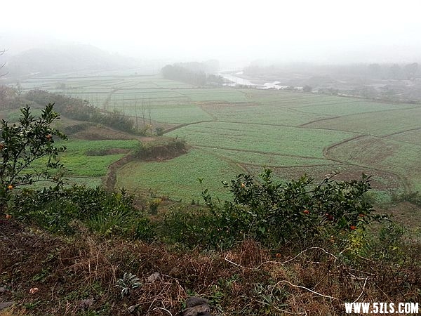 20141127_090100_.jpg