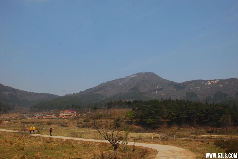 53.jpg