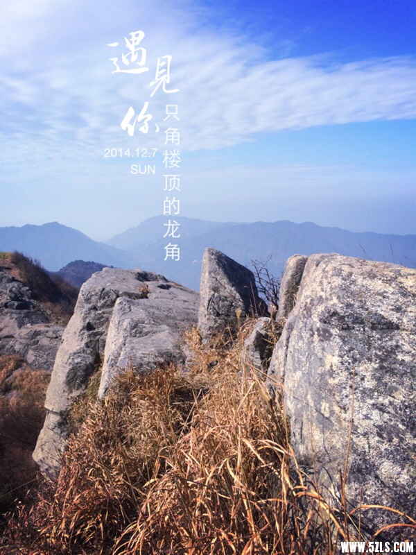 153649ba00qq4xn6q96aid.jpg
