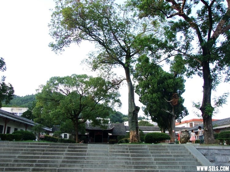 DSCF2717.JPG