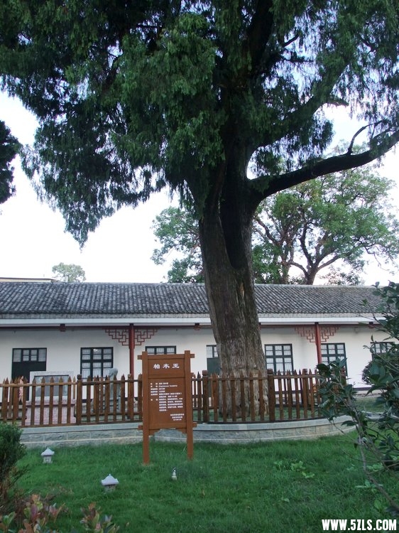 DSCF2722.JPG