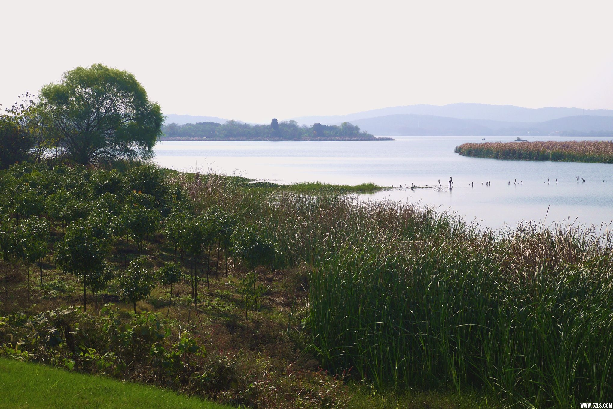 P1080543_.jpg