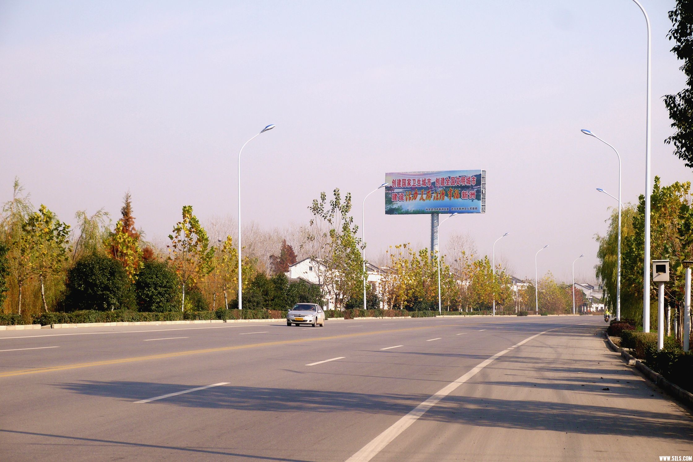 11.jpg