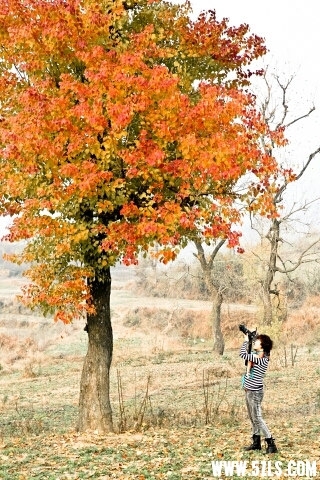 120123ca7t2bemb29an002.jpg