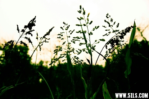 120124jo91vb644prfxv9a.jpg