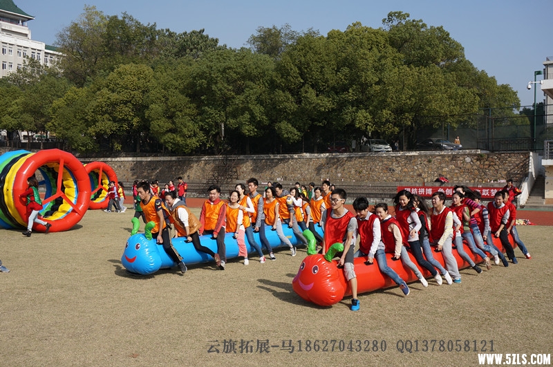 毛毛虫竞技.jpg