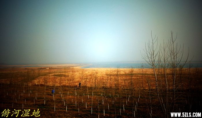 20141228_103823_.jpg