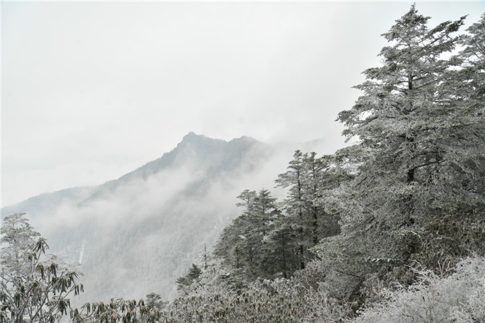 dsc_5345_.jpg