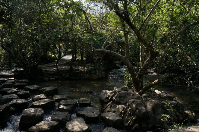 dsc04521.jpg