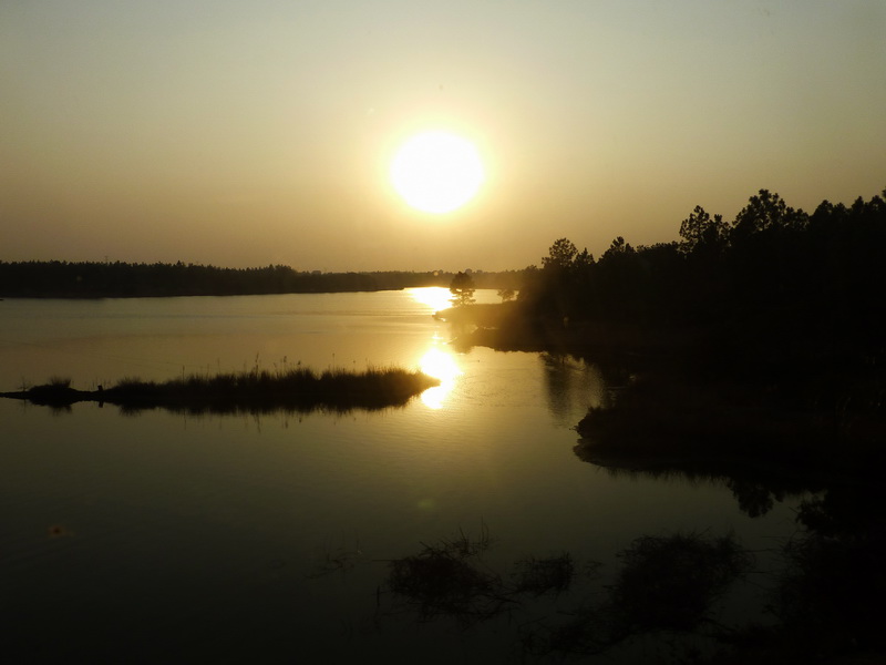 p1310351.jpg
