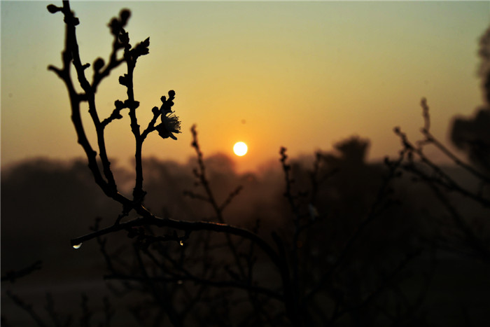 dsc_5819_.jpg
