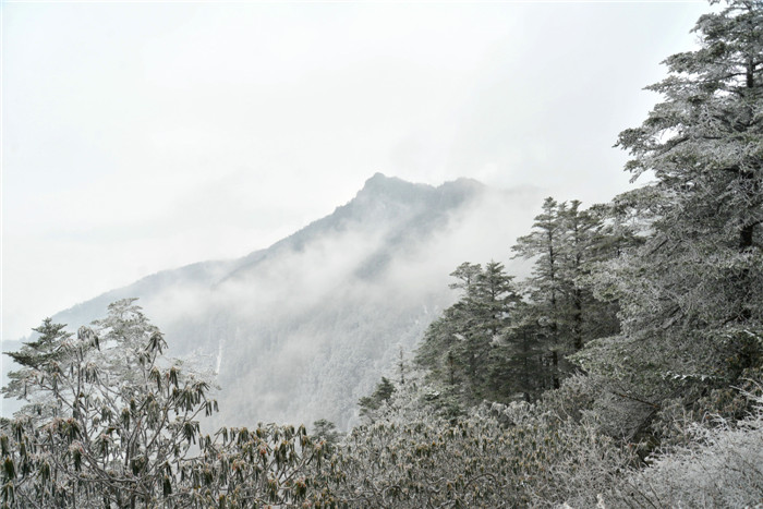 dsc_5344_.jpg