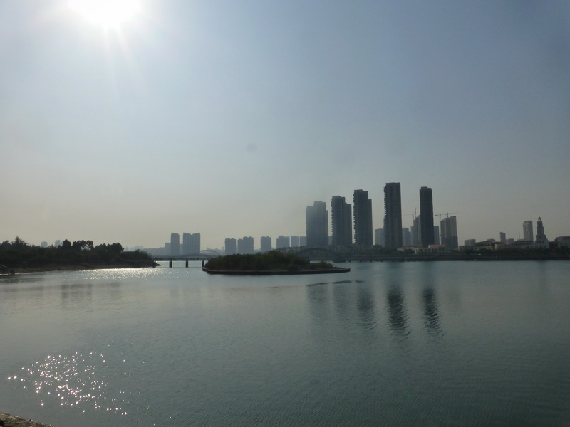 p1310534.jpg