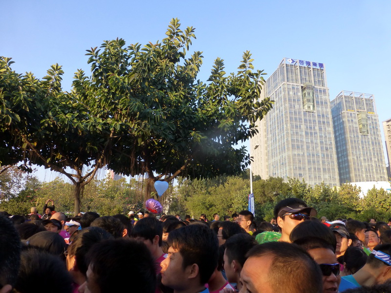 p1310646.jpg