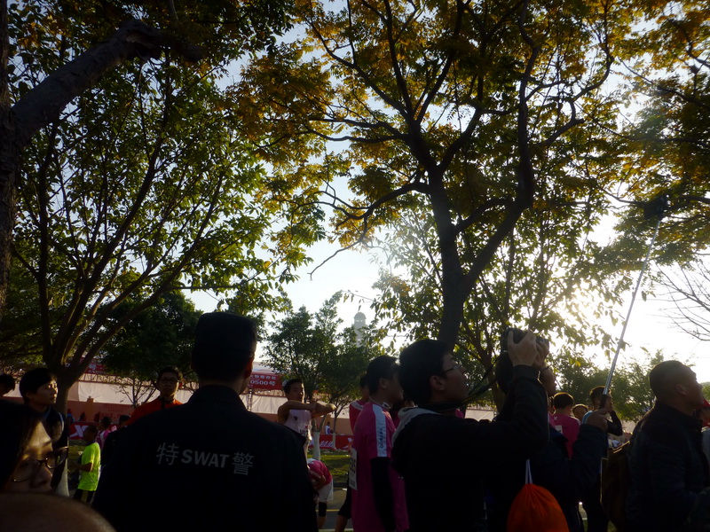 p1310653.jpg