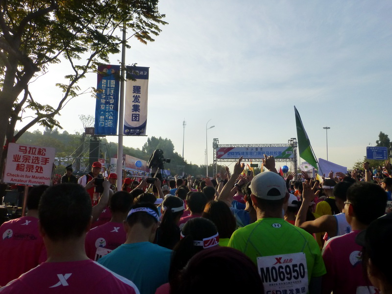 p1310655.jpg
